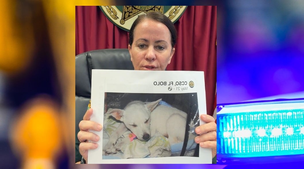 Sheriff: Clay County couple may face charges after concocting story about teens trying to drown dog