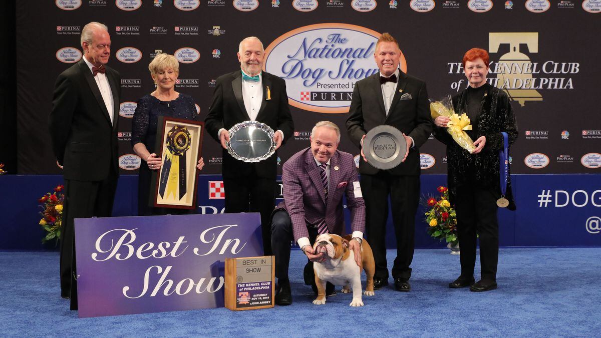 Don Sutton Dog Show Judge How Much Have They Changed Dog News 'i'm